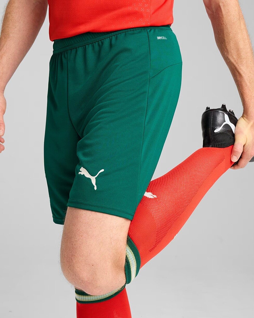 CALÇÕES PUMA FPF HOME